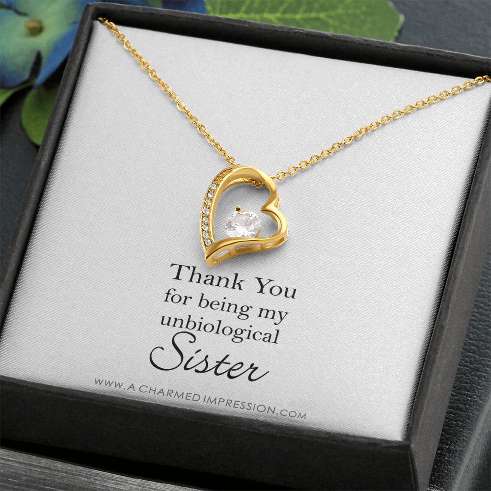 Unbiological Sister Necklace, Bonus Sister Gift, Sister-In-Law Gift, Jewelry for Sister in Law, Step Sister Gift, Soul Sister, Best Friend