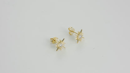 Best Friend Gifts for Women • Unbiological Sister • Christmas Gifts for Women • Stepsister Gifts • Love Friendship • Bonus Sister Earrings for 2 3 • Pearl Starburst Earrings